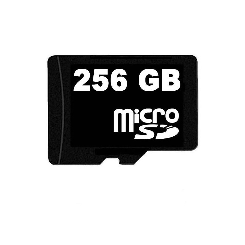 256 GB Micro-SD-Karte